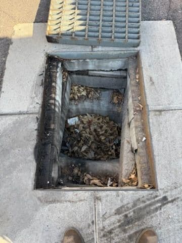 Valley Storm Drain Cleaning image